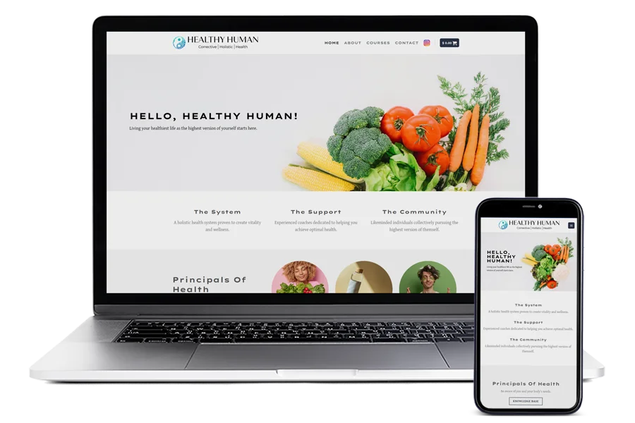 Healthy Human website design by Chandler Creativ